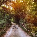 The Best Time to Go Bicycling in Olathe, Kansas
